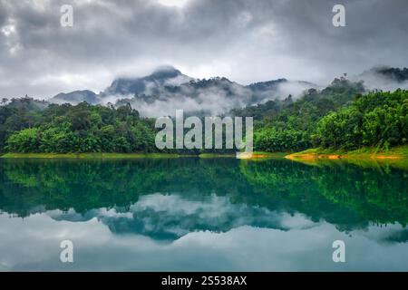 Nebelmorgen am Cheow Lan Lake im Khao Sok Nationalpark, Thailand. Nebelmorgen am Cheow Lan Lake, Khao Sok Nationalpark, Thailand Stockfoto