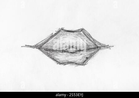 Skizze der weiblichen Lippen schließen bis von Hand von schwarzen Stift auf weißem Papier gezeichnet Stockfoto