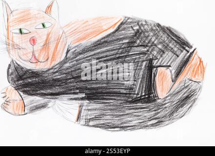 Große fette schwarze und braune Katze von farbstifte auf weißem Papier gezeichnet Stockfoto