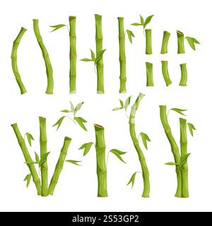 Naturfotos von Bambusbäumen. Dschungelholz. Vektor-grüner Bambusbaum, Stamm mit Blatt-Illustration. Naturfotos von Bambusbäumen. Dschungel Stockfoto