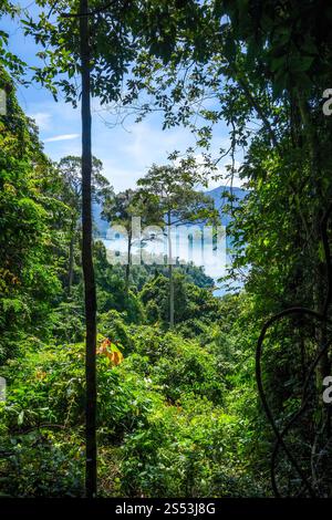Cheow Lan Lake Dschungellandschaft, Khao Sok Nationalpark, Thailand. Cheow Lan Lake Dschungellandschaft, Khao Sok, Thailand Stockfoto