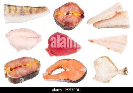 Collage aus verschiedenen Rohstoffen gefrorene Fische (Zander, Stör, Barsch, Thunfisch, Kabeljau, Lachs, Scholle) auf weißem Hintergrund Stockfoto