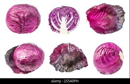 Verschiedene Blätter und Leiter der Rotkohl auf weißem Hintergrund Stockfoto