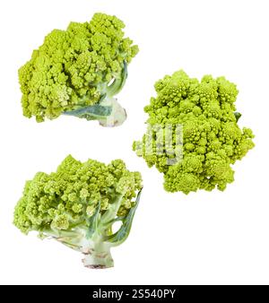 Mehrere romanesco Brokkoli Köpfe auf weißem Hintergrund Stockfoto