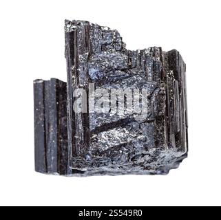 Nahaufnahme der Probe des natürlichen Minerals aus der geologischen Sammlung - unpolierter Schorl-Kristall (schwarzer Turmalin) isoliert auf weißem Hintergrund. Stockfoto