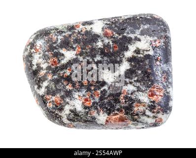 Nahaufnahme der Probe des natürlichen Minerals aus der geologischen Sammlung - poliertes Hornblende-Gestein mit Granatkristallen isoliert auf weißem Hintergrund. Stockfoto