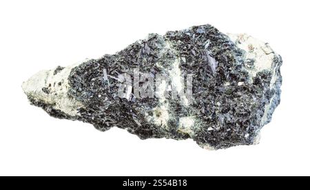 Nahaufnahme der Probe des natürlichen Minerals aus der geologischen Sammlung - unpoliertes Hornblende auf Amphibulgestein isoliert auf weißem Hintergrund. Unpoliert Stockfoto