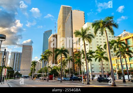 Wolkenkratzer der Innenstadt von Miami am Biscayne Boulevard in Florida, USA Stockfoto