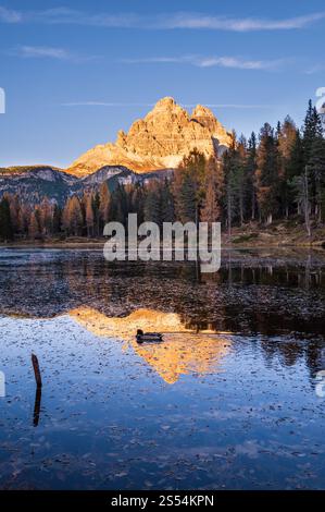 Wunderschöner Herbstabendsee Antorno und drei Zinnen von Lavaredo (Lago Di Antorno und drei Zinnen von Lavaredo), Dolomiten, Italien. Malerisch Stockfoto