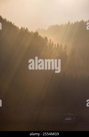 Herbst trüben Tag Berg Wald Silhouetten und Sonnenstrahlen in contra light Blick. Klima, Umwelt und Wetter Konzept Himmel Hintergrund. Stockfoto