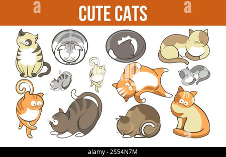 Niedliche Katzen Werbeplakat mit flauschigen Rassen Set. Niedliche Tiere mit dickem Pelz. Freundliche Haustiere mit lustigen Gesichtern isolierte Zeichentrick flache Vektor-Illustrationen auf weißem Hintergrund. Niedliche Katzen Werbeplakat mit flauschigen Rassen Set Stock Vektor