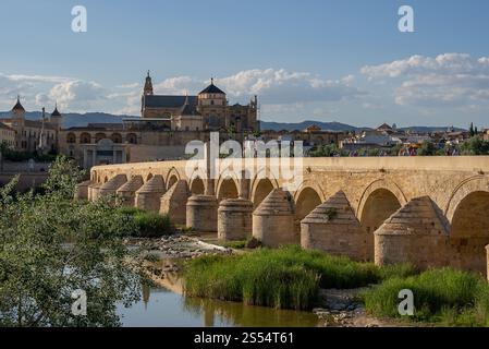 Blick auf die römische Brücke und die Moschee von cordoba Stockfoto