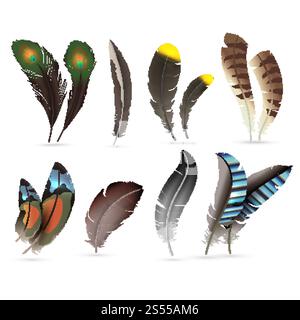 Realistische Vogelfedern. Detaillierte farbenfrohe Feder verschiedener Vögel. 3D-Vektorsammlung isoliert auf weißem Hintergrund. Illustration der mehrfarbigen Kollektion des Federvogels. Realistische Vogelfedern. Detaillierte farbenfrohe Feder verschiedener Vögel. 3D-Vektorsammlung isoliert auf weißem Hintergrund Stock Vektor