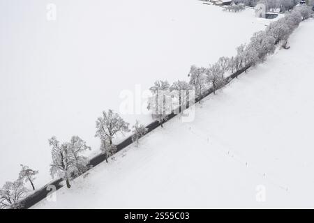 Luftaufnahme einer Landstraße mit Bäumen im Schnee, Oederan, Sachsen, Deutschland, Europa Stockfoto