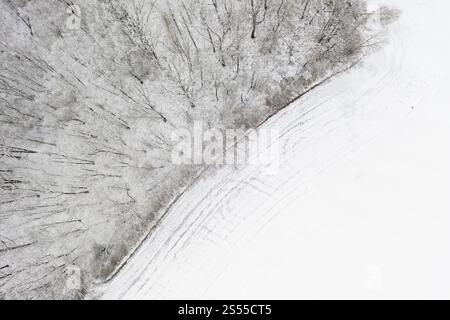 Luftaufnahme eines Waldes im Schnee, Sachsen, Deutschland, Europa Stockfoto