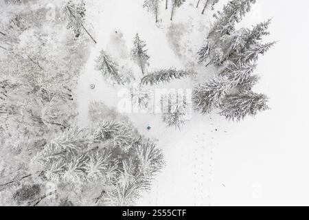 Luftaufnahme eines schneebedeckten Nadelwaldes bei Oederan, Sachsen, Deutschland, Europa Stockfoto