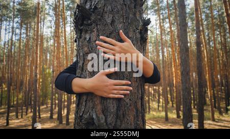 Getöntes Nahaufnahme-Bild von weiblichen Händen, die große Kiefer im Wald umarmen. Konzept der Ökologie, des Umweltschutzes und der Harmonie mit der Natur. Getönt Stockfoto
