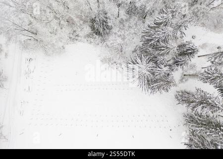 Luftaufnahme eines schneebedeckten Nadelwaldes bei Oederan, Sachsen, Deutschland, Europa Stockfoto