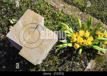 Grabstein, daneben ein Strauß aus gelben Rosen, Narzissen und Tulpen, Friedhof Alleestraße, Riesa, Sachsen, Deutschland, Europa Stockfoto