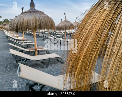 Nahaufnahme von Sonnenschirmen aus Palmblättern am Meeresstrand. Nahaufnahme von Sonnenschirmen aus Palmblättern am Meeresstrand Stockfoto