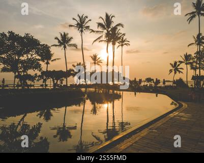 Silhouetten von Palmensträhnen, die sich bei Sonnenuntergang im Wasser des Schwimmbades spiegeln. Wunderschöne Silhouetten von Palmen, die sich im Wasser des Schwimmbades spiegeln Stockfoto