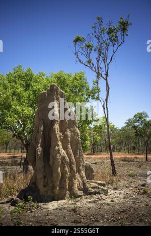 Termitenhügel an der Jim Jim Road, Kakadu National Park, Northern Territory, Australien, Ozeanien Stockfoto