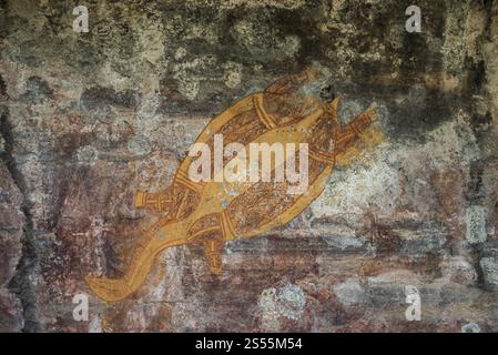 Felskunst der Aborigines, Darstellung einer Schildkröte, Kadadadu Nationalpark, Ubirr oder Obiri Rock, Northern Territory, Australien, Ozeanien Stockfoto