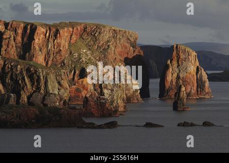 Neap Cliffs, Eshaness Peninsula, Shetland, Schottland, Vereinigtes Königreich, Europa Stockfoto