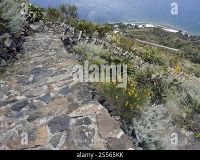 Äolische Inseln, steile Steintreppen auf Alicudi Stockfoto
