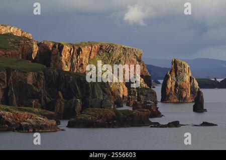 Neap Cliffs, Eshaness Peninsula, Shetland, Schottland, Vereinigtes Königreich, Europa Stockfoto