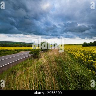Frühlingsgelb blühende Rapsfelder, regionale Straße, dramatisch bewölktes Gewitter, regnerischer Himmel und ländliche Hügel. Natürliches saisonales Klima, Stockfoto