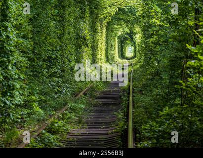 Love Tunnel (Eisenbahnstrecke im Wald bei Kleva, Ukraine. So genannt, weil vorher auf diese Weise Mädchen aus einem nahe gelegenen Dorf und Soldaten aus Stockfoto