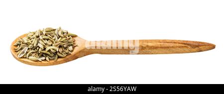 Holzlöffel mit Fenchelsamen isoliert auf weißem Hintergrund Stockfoto