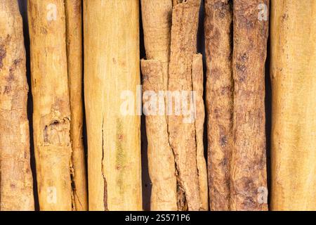 Hintergrund des Essens - mehrere Sticks mit kontinentalem ceylon-Zimt Stockfoto