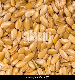 Quadratischer Hintergrund - goldene Leinsamen aus nächster Nähe Stockfoto