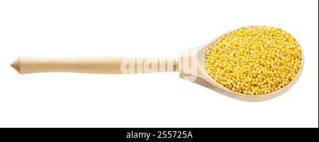 Holzlöffel mit ungekochten polierten Proso-Hirse-Körnern isoliert auf Weißer Hintergrund Stockfoto