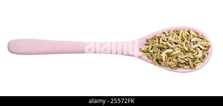 Draufsicht auf Keramiklöffel mit Fenchelsamen isoliert auf Weißer Hintergrund Stockfoto