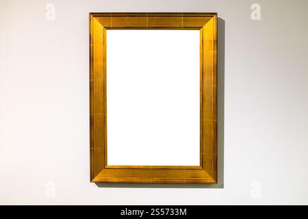 Vertikaler breiter flacher goldener Bilderrahmen mit ausgeschnittem Canvas Horizontale Wand Stockfoto