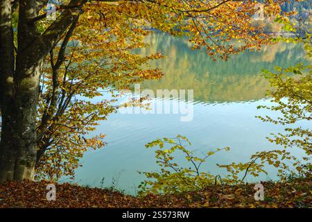 Vilshany Wasserreservoir am Tereblja Fluss, Transkarpatien, Ukraine. Malerischer See mit Wolkenspiegelung. Wunderschöner Herbsttag in Karpaten Stockfoto
