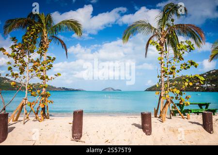 An der Nordküste von St. Thomas gelegen, besticht der Magens Bay Beach mit seinem pudrigen weißen Sand, kristallklarem türkisfarbenem Wasser und üppigem Laub. Stockfoto