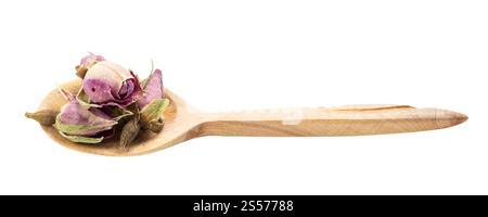 Alte getrocknete Rosenknospen in Holzlöffel isoliert auf weißem Hintergrund Stockfoto