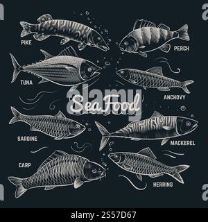 Skizzenfische Meeresfrüchte. Hering, Forelle, Flunder, Karpfen, Thunfisch, Sprotte handgezeichnete Fish Vector Kollektion im Vintage-Stil. Meeresfisch-Menü-Banner, Hering und Karpfen, Sardine und Sardellen Illustration. Skizzenfische Meeresfrüchte. Hering, Forelle, Flunder, Karpfen, Thunfisch, Sprotte handgezeichnete Fish Vector Kollektion im Vintage-Stil Stock Vektor