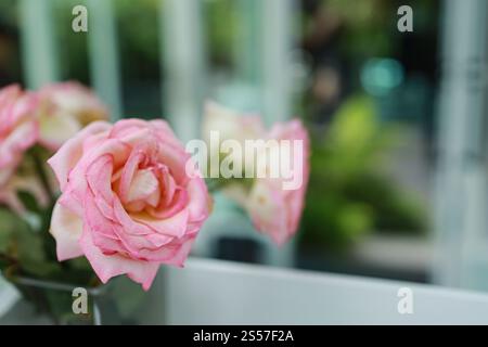 Natürliche rosa Rosen Blume in Vase steht auf dem Tisch in einem Café für Hintergrund. Stockfoto