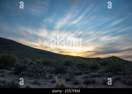 Ein atemberaubender Sonnenuntergang beleuchtet die Landschaft der Sonora-Wüste, mit leuchtenden Wolken und Silhouetten aus Kakteen, die eine friedliche Atmosphäre schaffen. Stockfoto