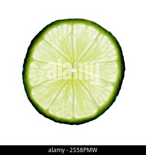 Scheibe Kalk, hintergrundbeleuchtet und isoliert auf weiß. Kalkscheibe – hohe Qualität Stockfoto