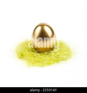 goldenes Ei im Nest isoliert auf weißem Hintergrund. goldenes Ei im Nest isoliert auf weiß Stockfoto