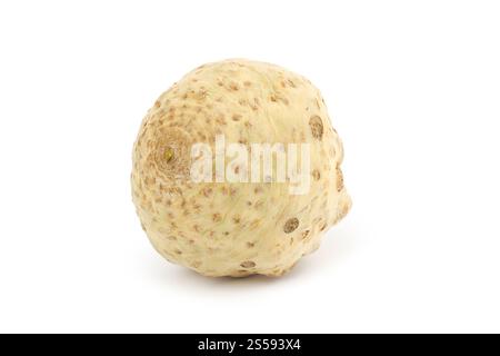Selleriewurzel isoliert auf weißem Hintergrund. Isolierte Selleriewurzel Stockfoto