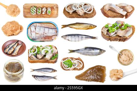Set von verschiedenen gekochten und rohen Heringsfischen isoliert auf weißem Hintergrund Stockfoto
