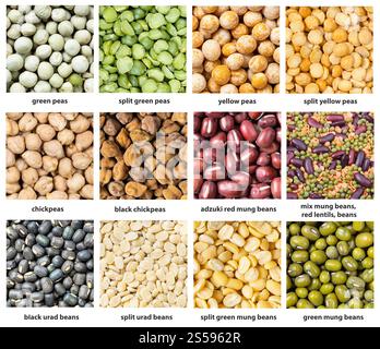 Set von quadratischen Lebensmitteln Hintergrund - verschiedene Erbsen und Kmungs mit Namen aus der Nähe Stockfoto