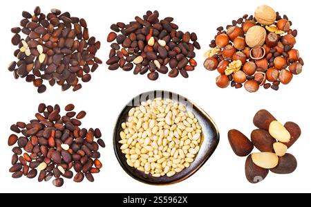 Set aus verschiedenen Pinienkernen, die auf weißem Hintergrund isoliert sind Stockfoto